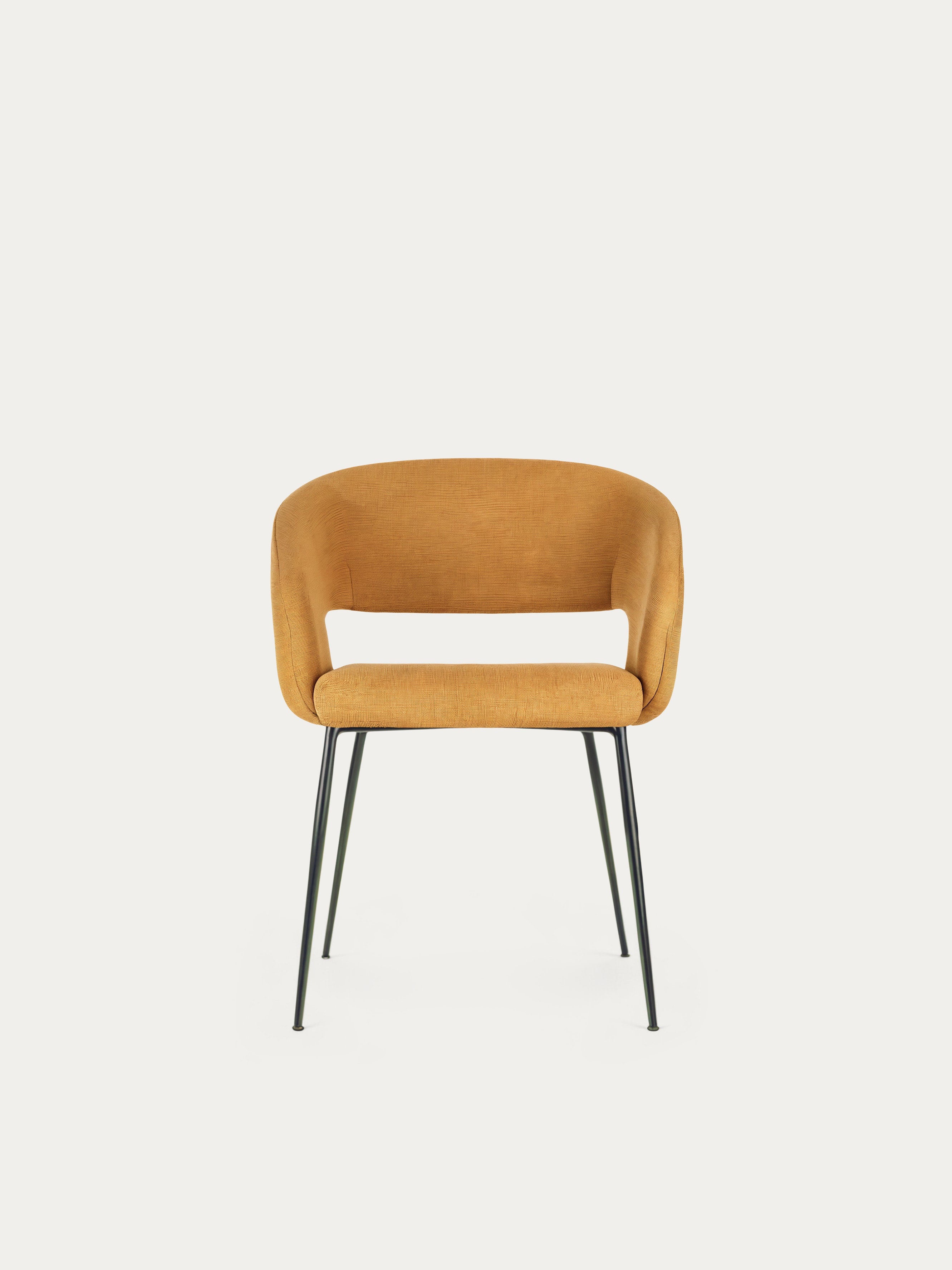 Curved Dining Chair