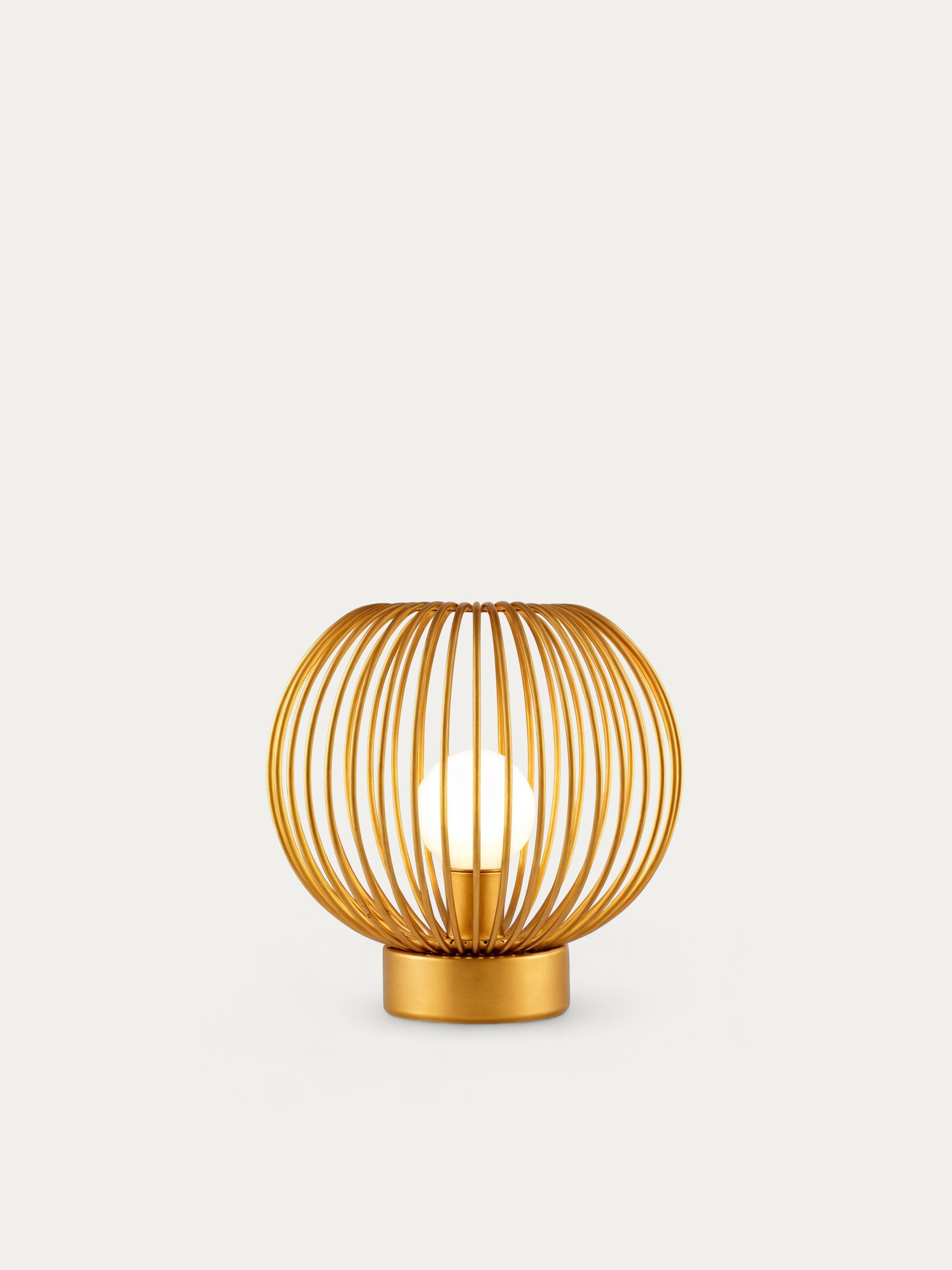 Käfig-Akzentlampe